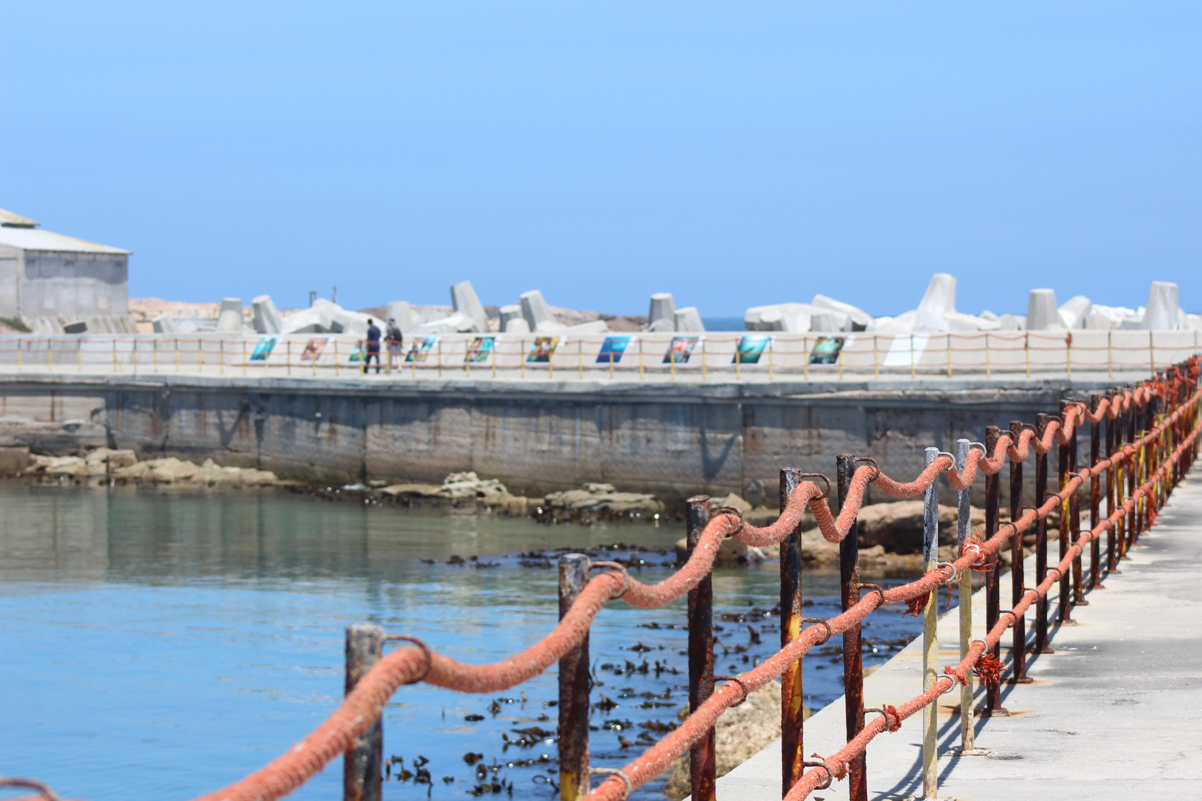 lambert's bay (2).webp